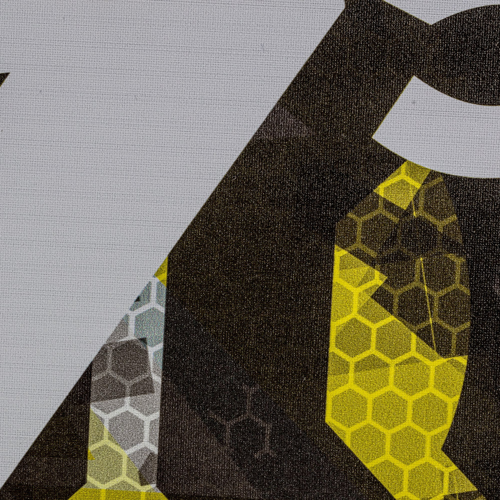 Onix Z5 MOD Graphite Pickleball Paddle · RacquetDepot