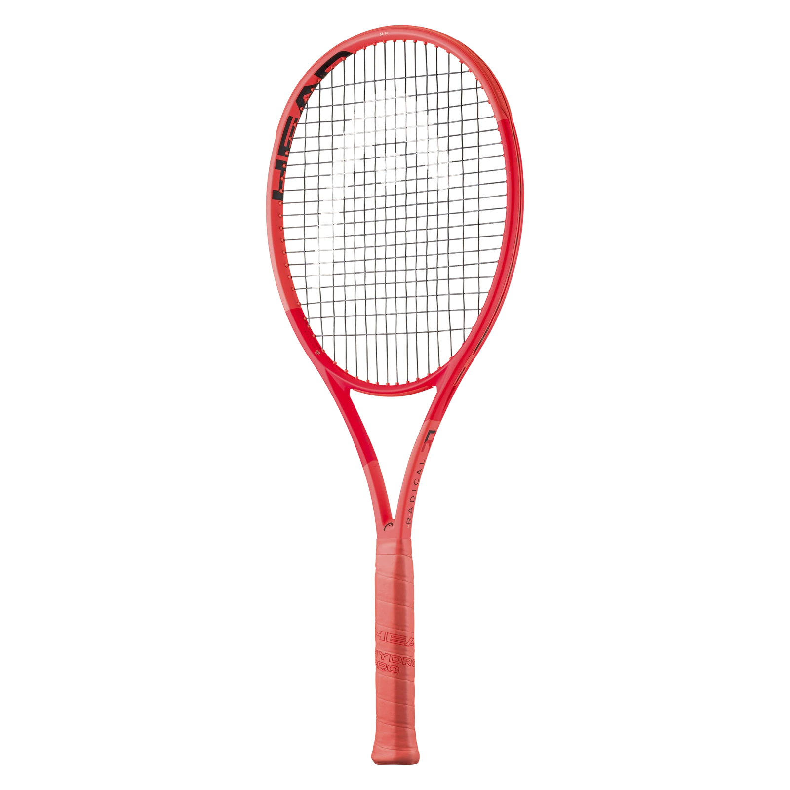 head_radical_MP_2025_231015_an